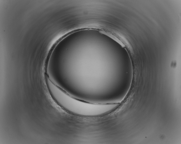 X0000094420944200711151317