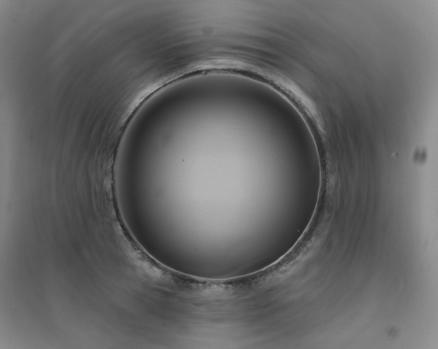 X0000094420945200711151317