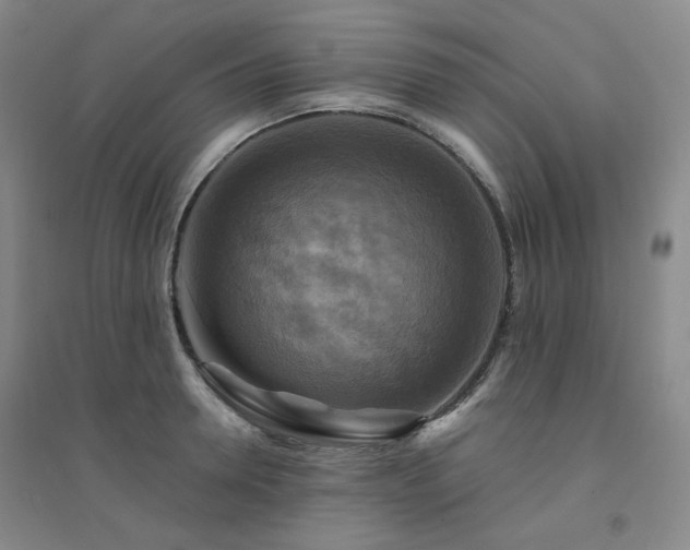X0000094420946200711151317