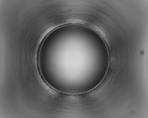 X0000094420947200711151317