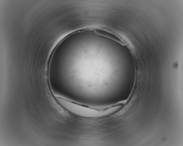 X0000094420948200711151317