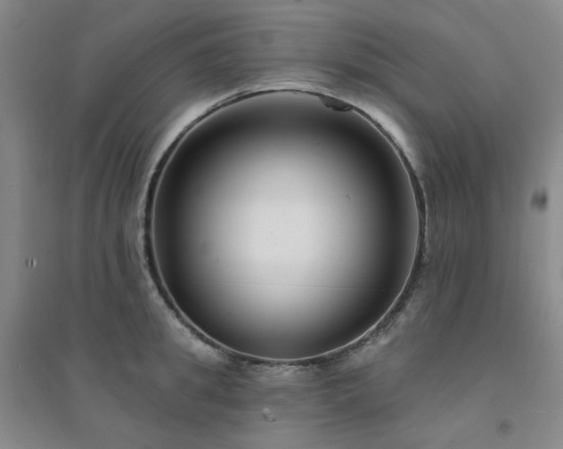 X0000094420949200711151317