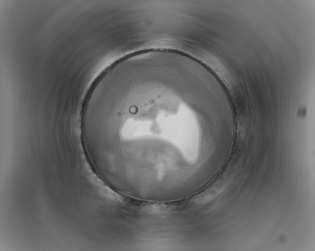 X0000094420950200711151317