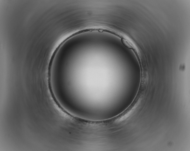 X0000094420951200711151317