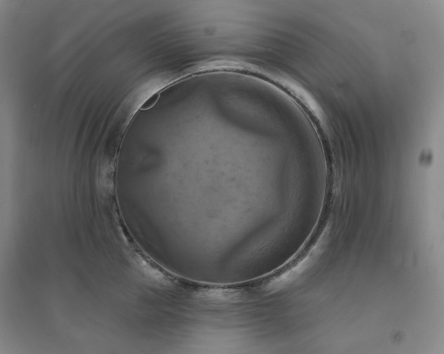 X0000094420953200711151317