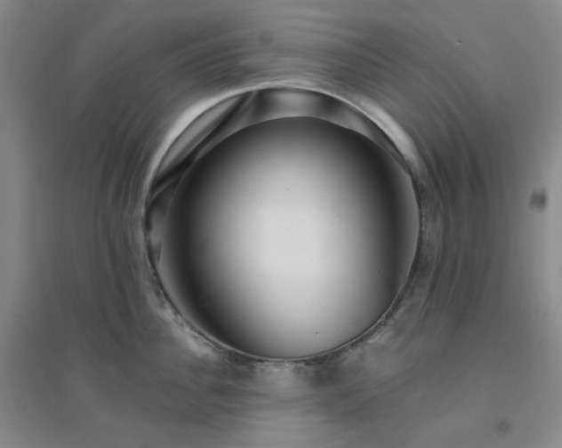 X0000094420956200711151317