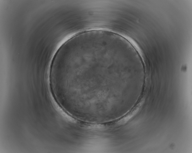 X0000094420957200711151317