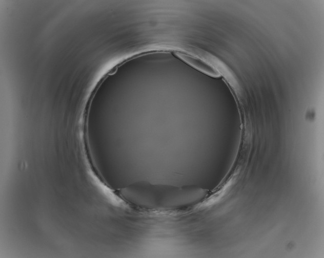 X0000094420958200711151317