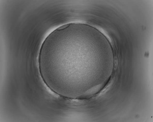 X0000094420959200711151317