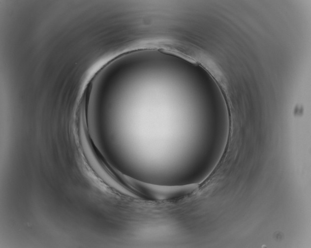 X0000094420960200711151317