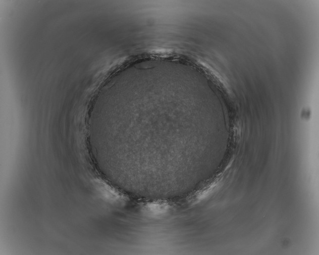 X0000094420961200711151316