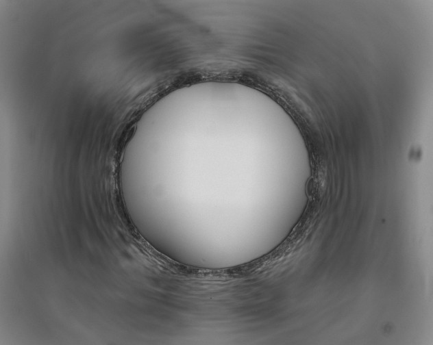 X0000094420964200711151316