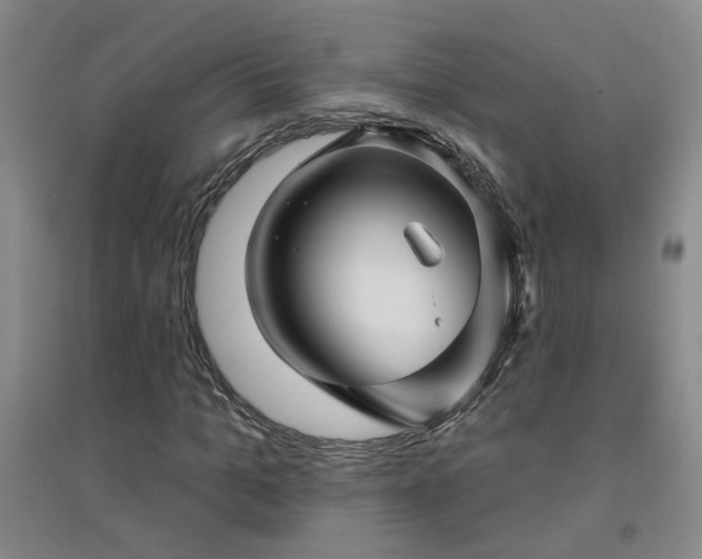 X0000094420965200711151316