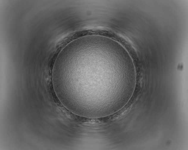 X0000094420966200711151316