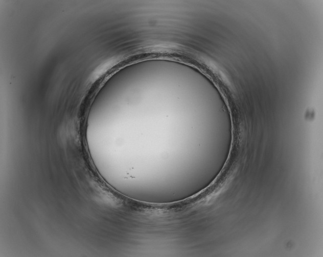 X0000094420970200711151316