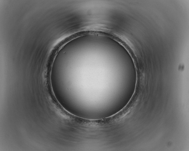 X0000094420971200711151316