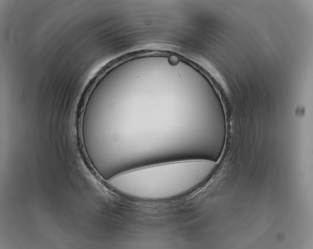 X0000094420972200711151316