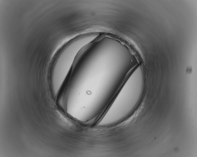 X0000094420973200711151316