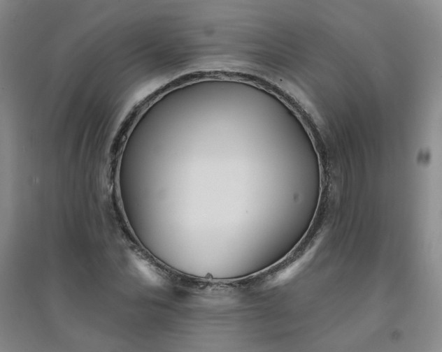 X0000094420974200711151316