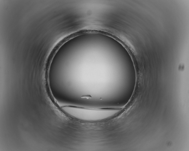 X0000094420976200711151316