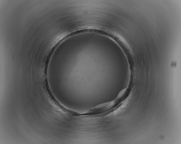 X0000094420977200711151316