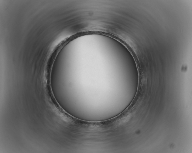 X0000094420979200711151316