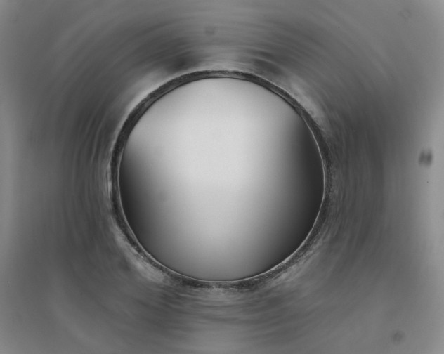 X0000094420980200711151316