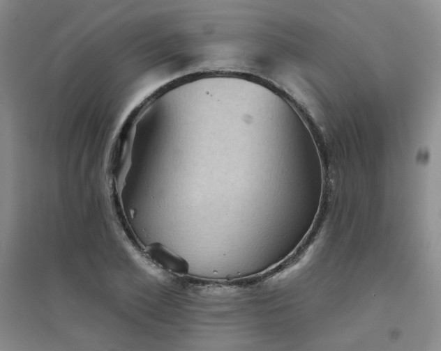 X0000094420981200711151316