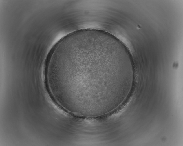 X0000094420983200711151316