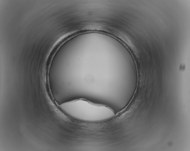 X0000094420984200711151316