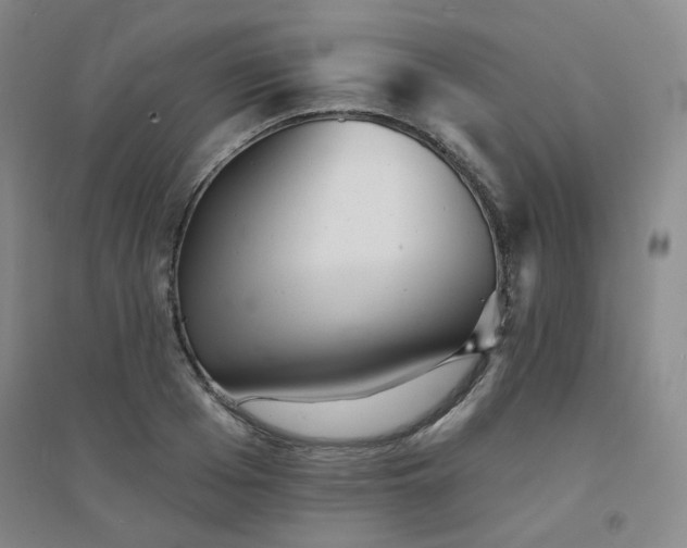 X0000094420985200711151316