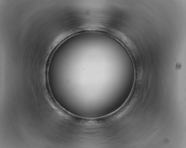 X0000094420986200711151316