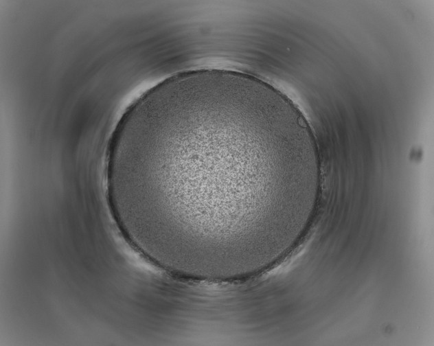 X0000094420987200711151316