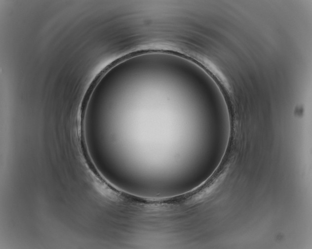 X0000094420988200711151316