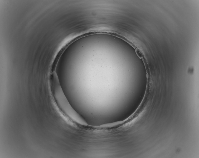 X0000094420989200711151316