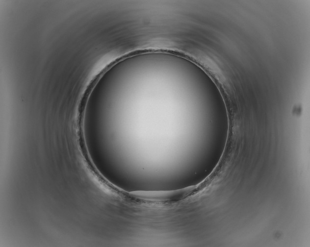 X0000094420990200711151316