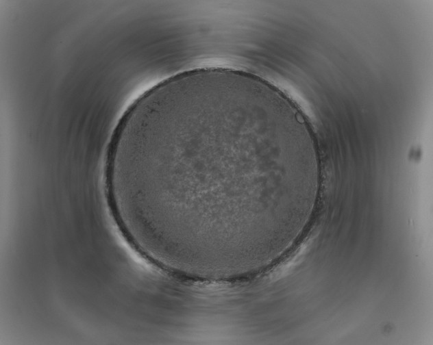 X0000094420991200711151316