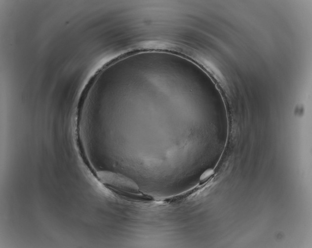 X0000094420992200711151316