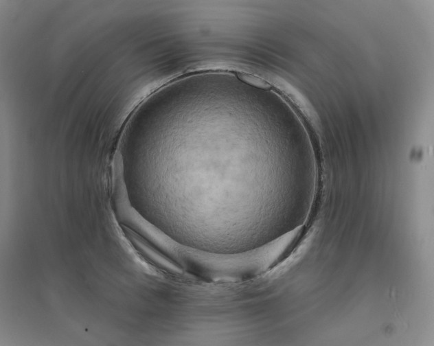X0000094420993200711151316
