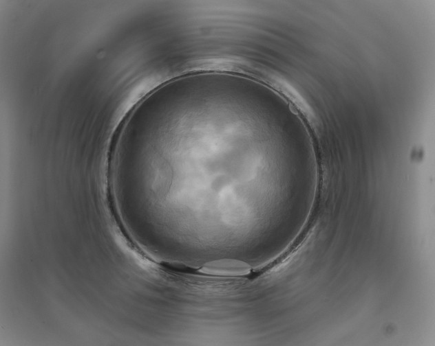 X0000094420994200711151316