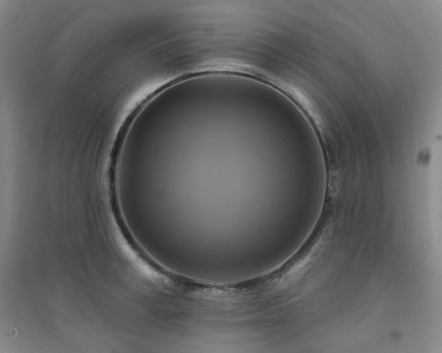 X0000094420995200711151316