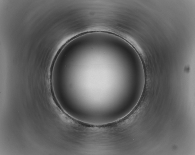 X0000094420996200711151316