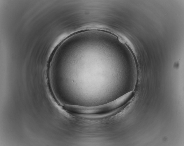 X0000094420997200711151316