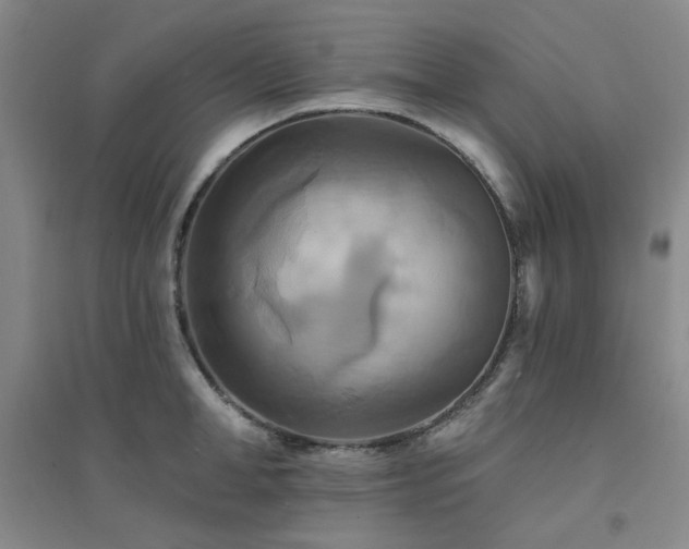 X0000094420998200711151316