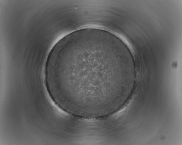 X0000094420999200711151316