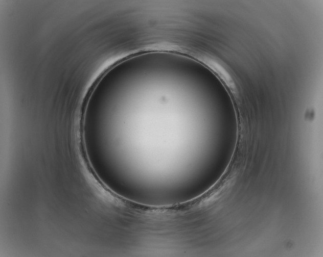 X0000094421000200711151316