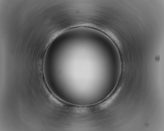 X0000094421001200711151316