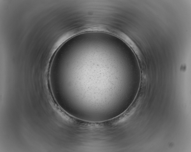 X0000094421002200711151316