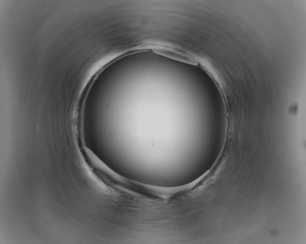 X0000094421003200711151316