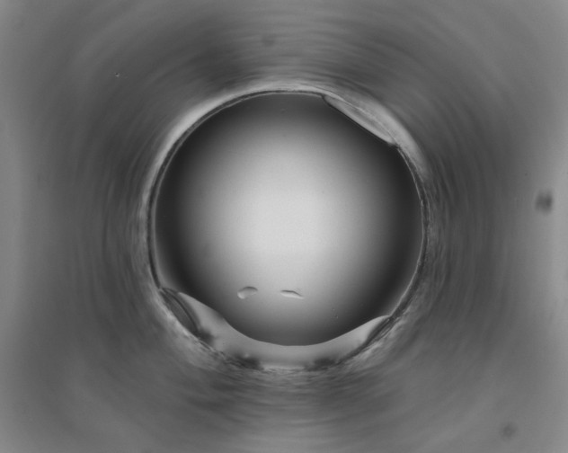 X0000094421004200711151316